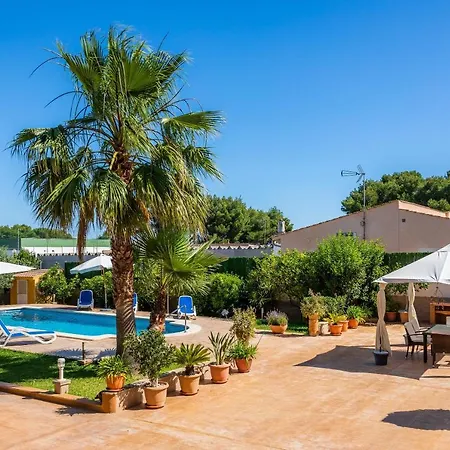 S'oratge Can Picafort (Mallorca)